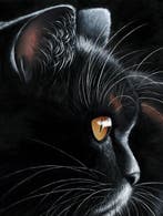 Jutta Plath - “Black Tiger”.