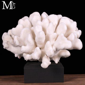 Madrepore White Coral - Taxidermie volledige montage -
