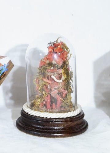 Kerststal - Kristal, Hout - Rood koraal kerststal, Verzamelen, Mineralen en Fossielen