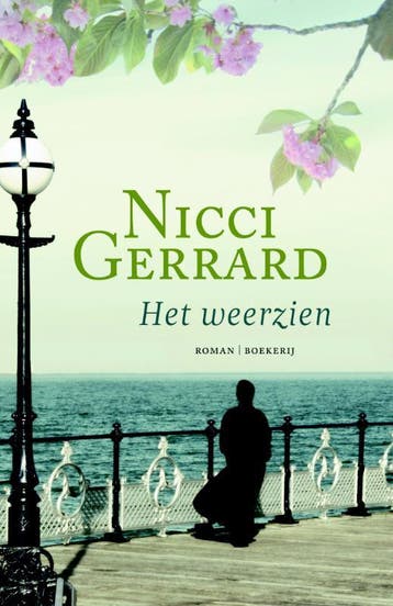 Het weerzien 9789022550984 Nicci Gerrard, Boeken, Verzenden, Gelezen, Nicci Gerrard