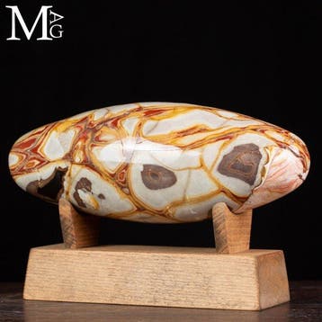 Ongekend kleurrijke agatiseerde jaspis Shiva Lingam -, Verzamelen