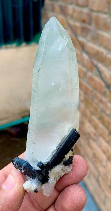 Tourmaline) Exemplaar - Hoogte: 105 mm - Breedte: 48 mm -, Collections, Minéraux & Fossiles