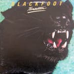 Blackfoot - Tomcattin, Verzenden