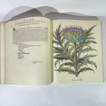 Italië - Sansepolcro - Aboca Museum Edizioni; Aboca - HORTUS