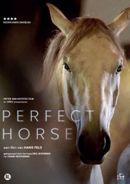 Perfect horse op DVD, CD & DVD, DVD | Documentaires & Films pédagogiques, Envoi