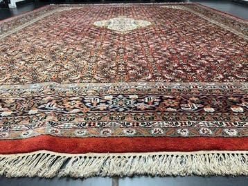 Bidjar - Vloerkleed - 395 cm - 300 cm, Nieuw