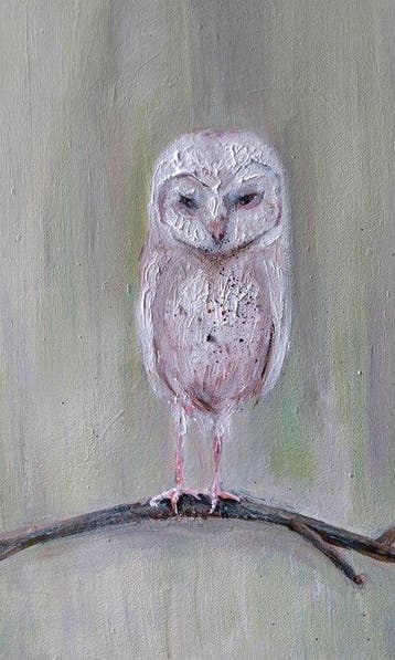 Dorien Plaat - Noctua