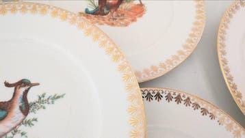 Seltmann Bavaria - Per 6 persone - Tafelservies (6) -