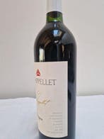 1999 Chappellet - Napa Valley - 1 Fles (0,75 liter), Nieuw