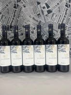 2023 Tenuta le Colonne - Bolgheri - 6 Flessen (0.75 liter), Nieuw