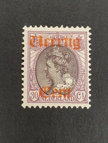 Nederland 1919/1920 - 2 series hulpuitgifte en