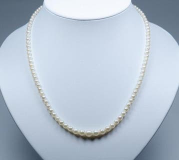 - Argent 835 - perles Akoya de diamètre 3 à 7 mm - Collier