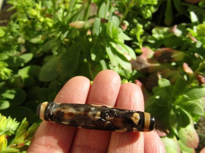 Zeldzame en krachtige talisman DZI 9 ogen (57 mm) met, Collections, Minéraux & Fossiles