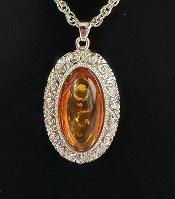 Amber Ovaal Hanger met Zilveren Ketting - Barnsteen (Zonder, Verzamelen, Mineralen en Fossielen