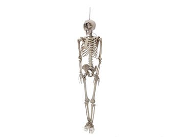 EUROPALMS Halloweenfiguur Skelet Vormbaar Beweegbaar, 160 Cm