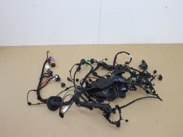 Kabelboom Volkswagen Passat O147497