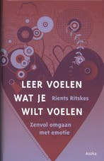 Leer voelen wat je wilt voelen / Basisboek zentraining / 2, Verzenden, Zo goed als nieuw, Rients Ritskes