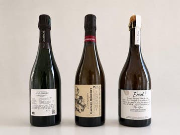 Gaspard Brochet, 333F, Olivier Horiot Envol, Petit Collino