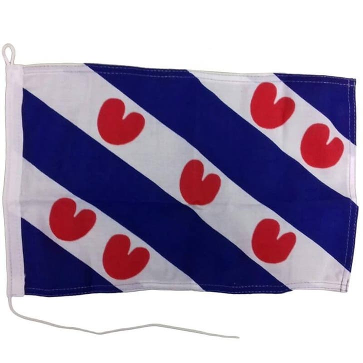 Vlag Friesland 20 x 30cm, Sports nautiques & Bateaux, Accessoires navigation, Enlèvement ou Envoi