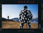 Pink Floyd - Delicate Sound Of Thunder, Verzenden, Gebruikt
