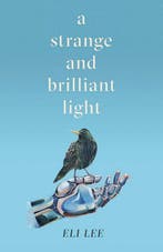 A Strange and Brilliant Light: Winner of the Writers’ Guild, Verzenden, Zo goed als nieuw, Eli Lee