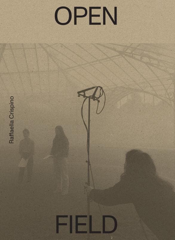 Raffaella Crispino. Open Field |  | Nieuw, Boeken, Overige Boeken, Nieuw, Verzenden