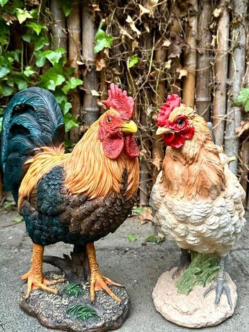 No reserve-Levensecht gelijkende beelden van een Kip en een