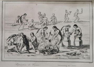 Ferdinand Denis, C Famin - Brésil + Colombie et Guyanes -, Antiek en Kunst