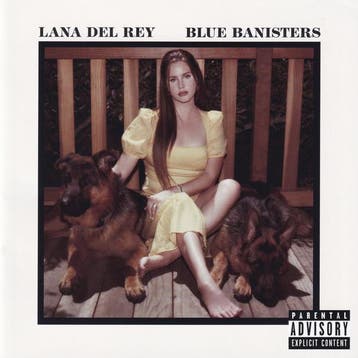Lana Del Rey - Blue Banisters, Cd's en Dvd's, Verzenden, Gebruikt