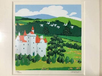Framed Lithograph Print of a Scenic Castle Landscape - Mario