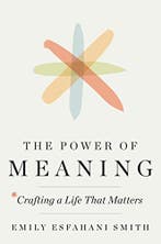 The Power of Meaning 9780553419993 Emily Esfahani Smith, Verzenden, Zo goed als nieuw, Emily Esfahani Smith