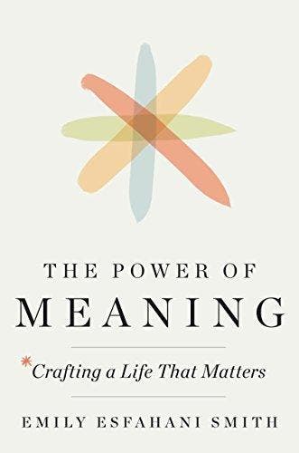 The Power of Meaning 9780553419993 Emily Esfahani Smith, Livres, Langue | Anglais, Envoi
