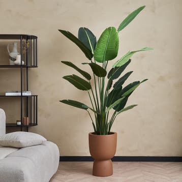 Kunstplant Strelitzia XXL - Ø 150 x 180 cm, Verzenden