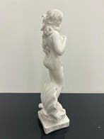 Beeld, La nascita di Venere - 63 cm - marmerstof, Nieuw