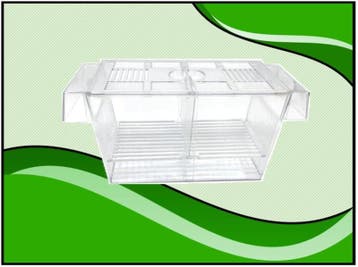 Osaka Breederbox Small - kweekbakje (Kweken, Accessoires), Dieren en Toebehoren, Verzenden, Nieuw, Overige typen