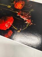 Viet Ha Tran - Secret whisper