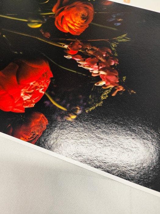 Viet Ha Tran - Secret whisper, Antiek en Kunst, Kunst | Designobjecten