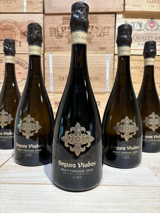 2022 Cava Segura viudas brut vintage 2022, Cava - Cava - 6, Collections, Vins