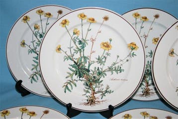 Villeroy & Boch - Assiette à dîner (6) - Botanica -