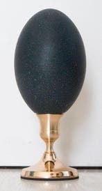 Emoe Ei - Dromaius novaehollandiae - 20 cm - 0 cm - 0 cm, Nieuw