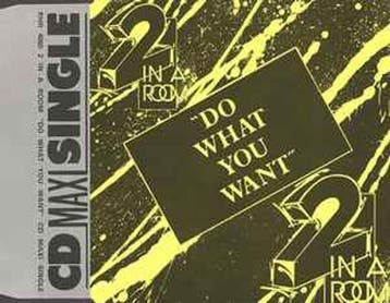 2 In A Room – Do What You Want CD Single, Verzenden, Nieuw in verpakking