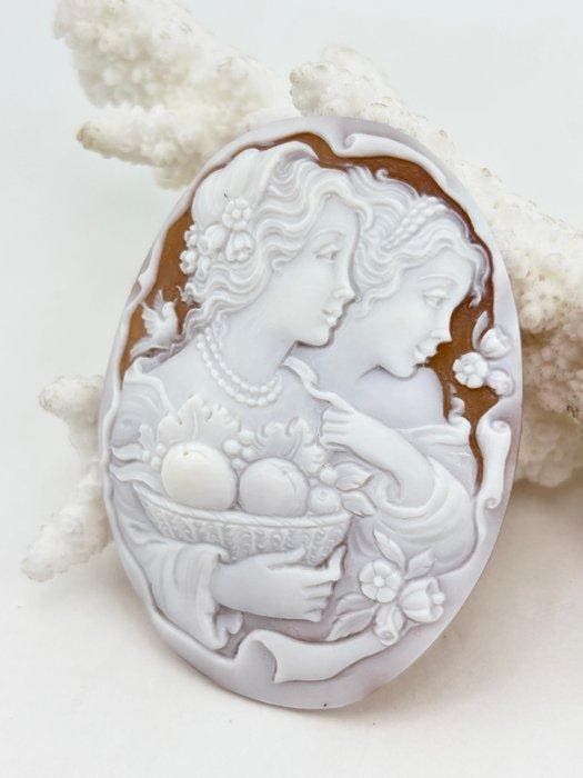 CASSIS MADAGASCARIENSIS - Cameo - Handgesneden camee, Antiek en Kunst, Curiosa en Brocante