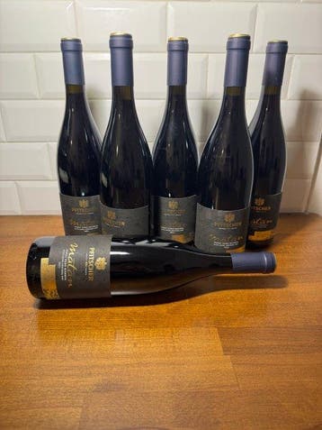 2021 Pfitscher, Matan Pinot Nero - Trentin-Haut-Adige, Verzamelen, Nieuw