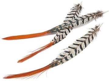 Fazantenveren Lady Amherst Orange Tip ca. 6 stuks