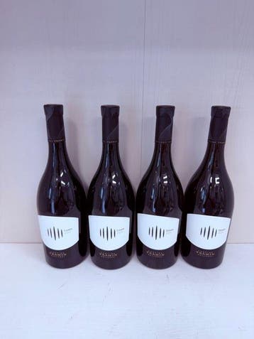 2023 x2 Loam 2023 & 2024 x2 Stoan, Tramin -, Nieuw