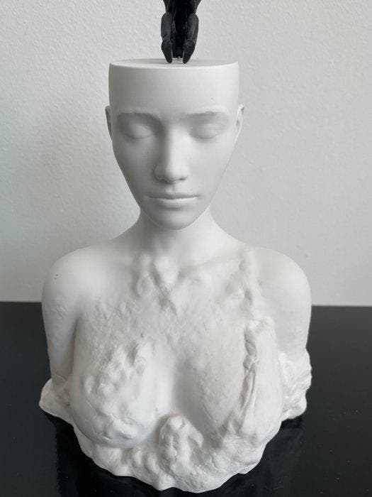 serena grassetti - Within, Antiek en Kunst, Kunst | Designobjecten