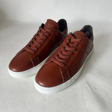 Tods - Nuovo Allacciata Cassetta Sport Leggera - Sneakers -