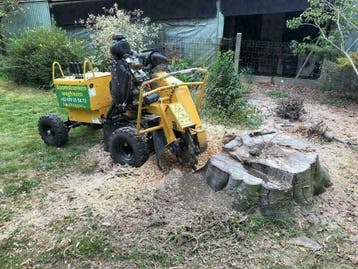 Verwijderen van stronk, boomstronk of wortel, Garantie, Tuinonderhoud of Snoeiwerk
