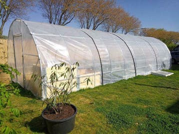 Tunnelserre +serrefolie/ 2 deuren   L 8 m -B 4 m- 2.54 m, Verzenden, Nieuw