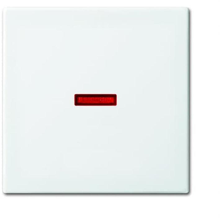 ABB Busch-Jaeger Control Element/Central Plate Switchgear -, Doe-het-zelf en Bouw, Elektriciteit en Kabels, Verzenden